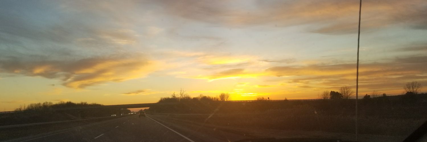 acelynnflores_'s profile banner image