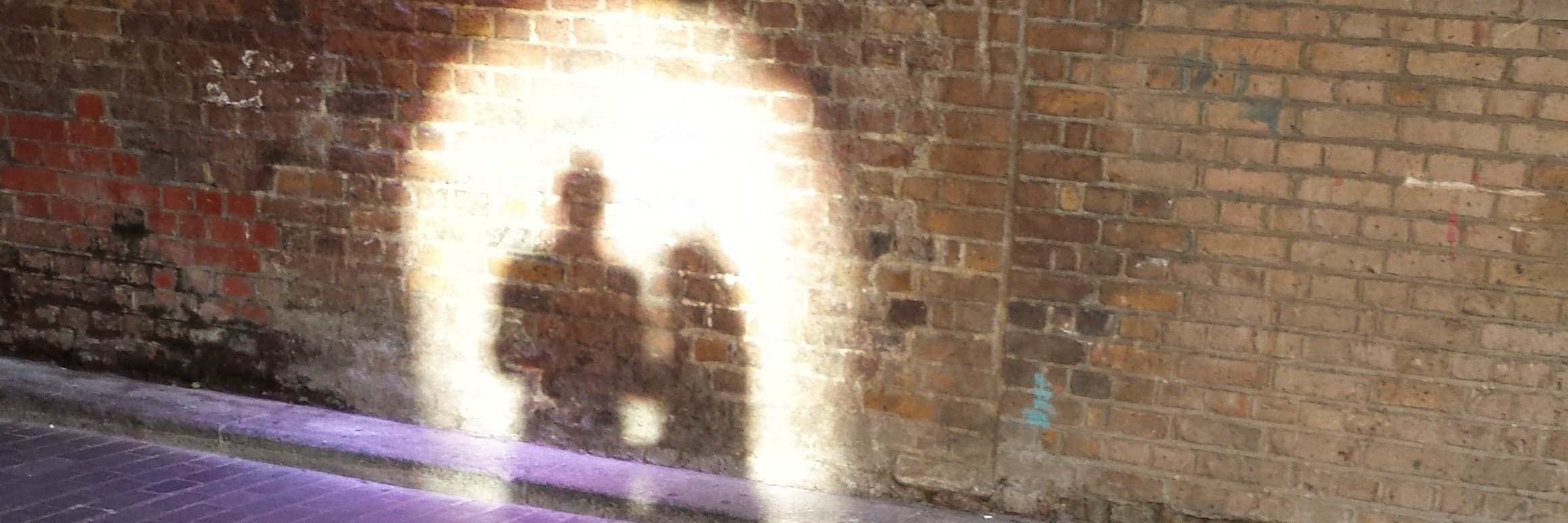 Mara_Davi's profile banner image