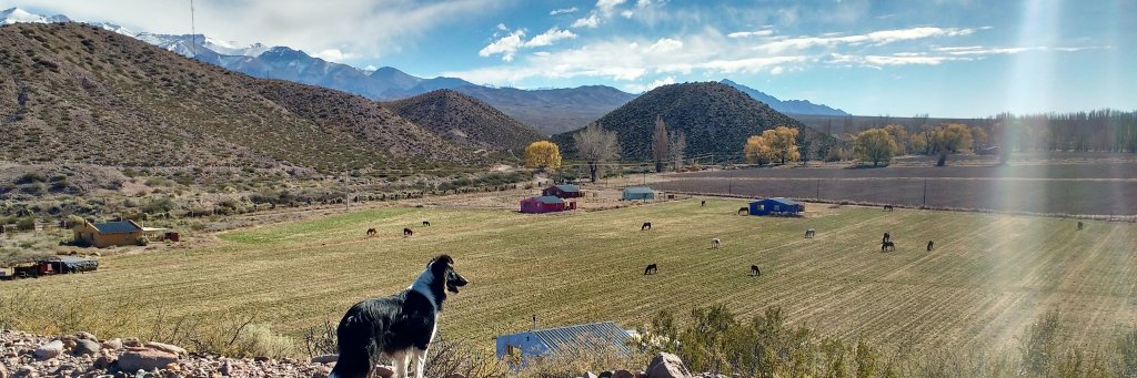 JulianROS10's profile banner image