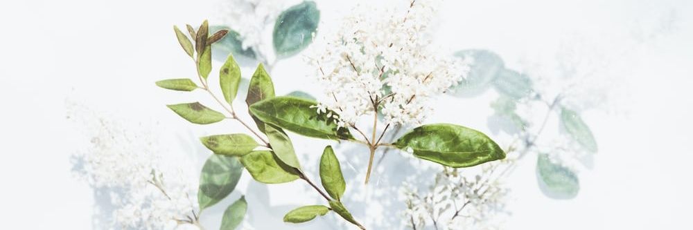 NulekCu's profile banner image