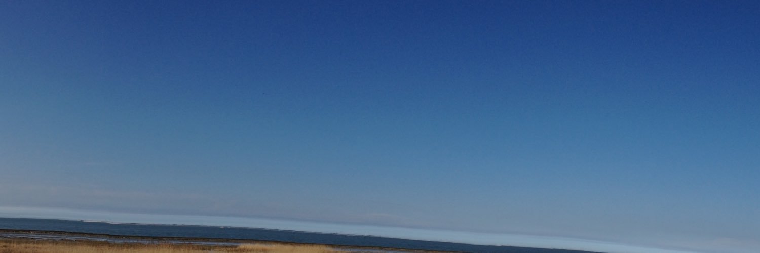 utkas's profile banner image