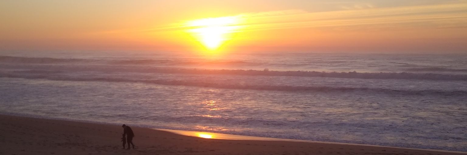 Erika_G79's profile banner image