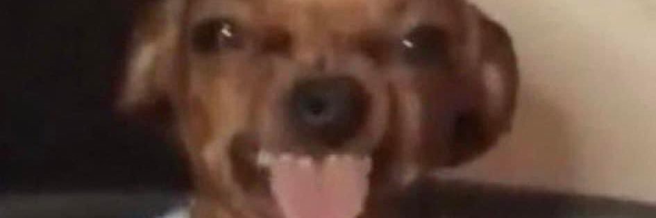 umalienqualquer's profile banner image