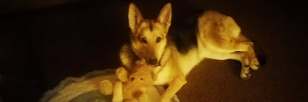 nueve Profile Banner