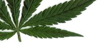 Holig_alko's profile banner image