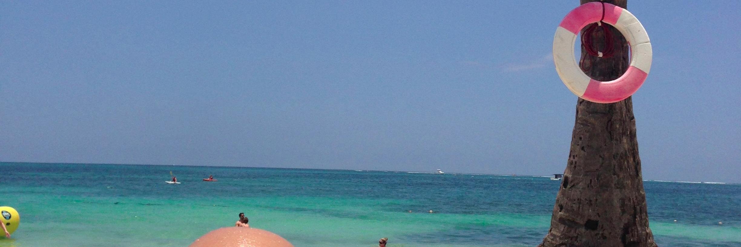 Daisy Sam, Ed.D banner