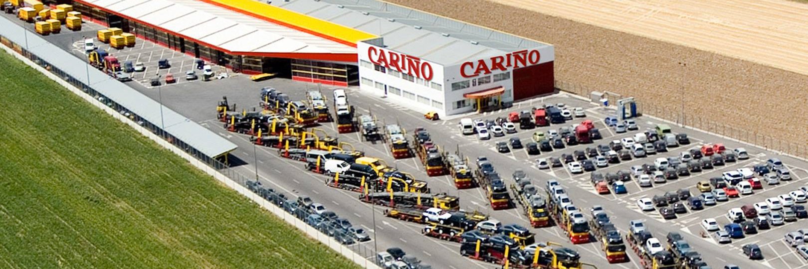 tmcarino's profile banner image