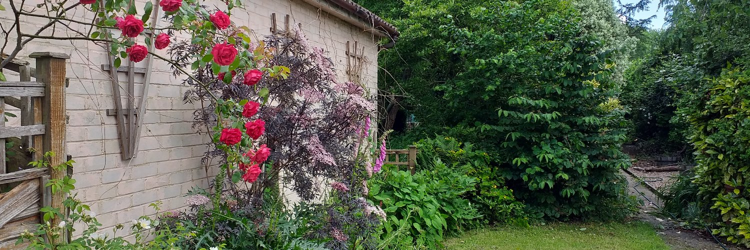 Just Connie. Remain. #RejoinEU #FBPE #ToriesOut banner