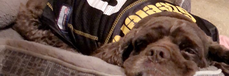 _sammievee's profile banner image