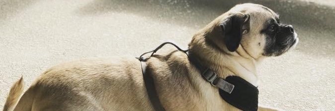 jamesugarte's profile banner image