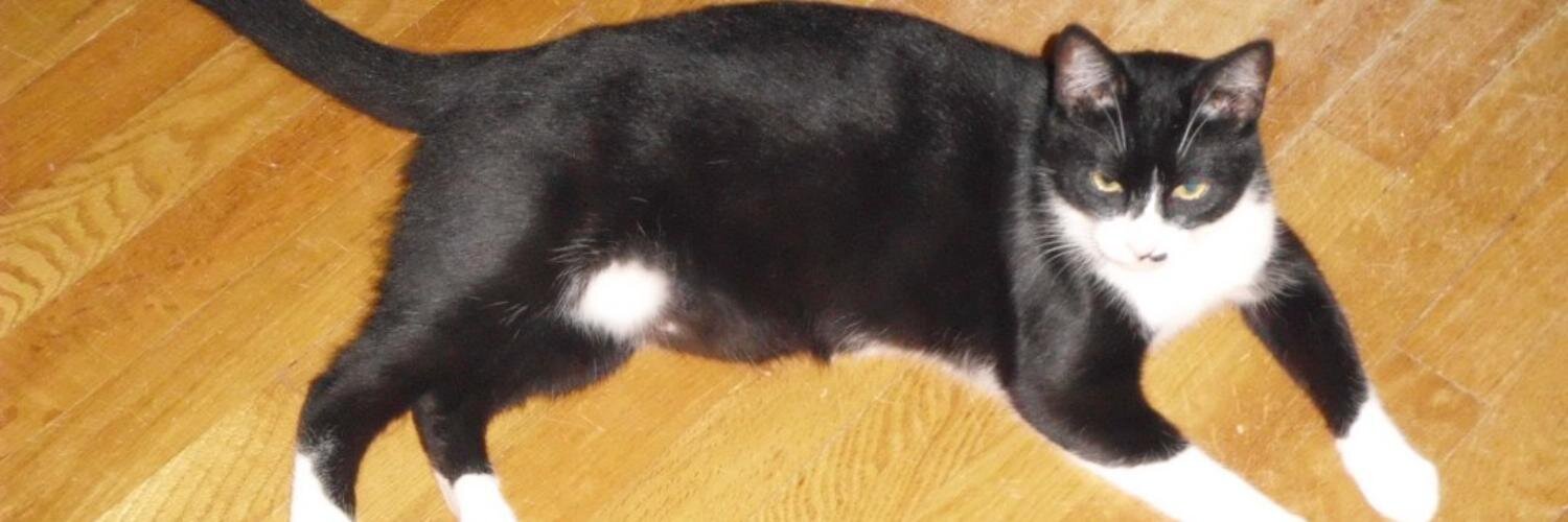 😇 Angel Mandu 😇 & Mom ❤️ & 🧶 Baby Holly 🧶 banner