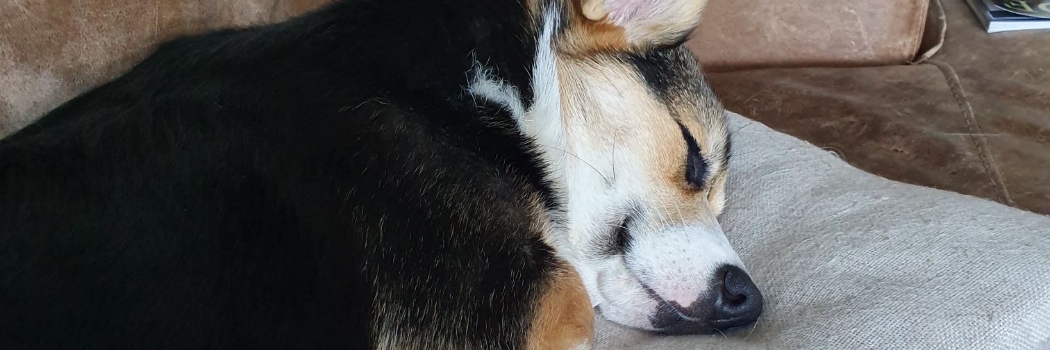 facepalmzonacid's profile banner image