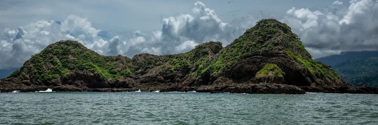 dananigans ༄ banner