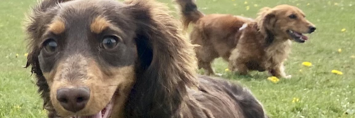 jonrandvo's profile banner image