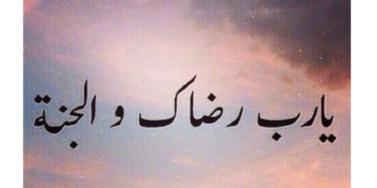 Abeer_alhammad's profile banner image