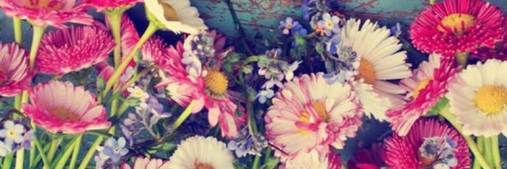 gaby2716's profile banner image