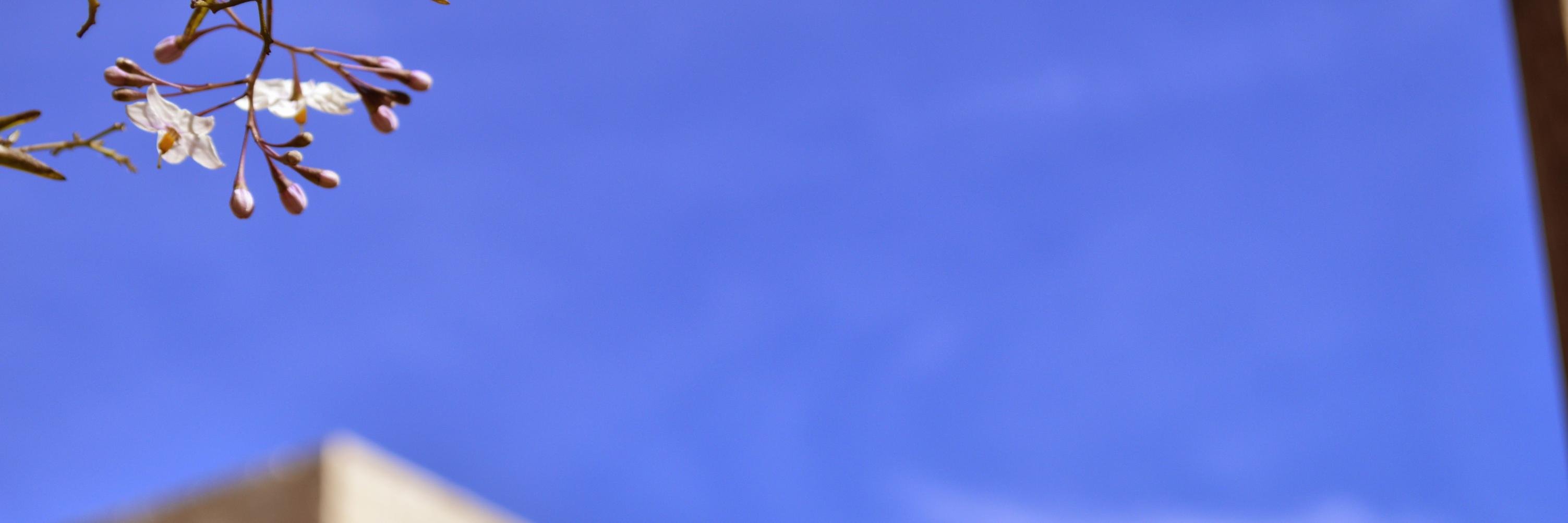 HugoRobellaz's profile banner image