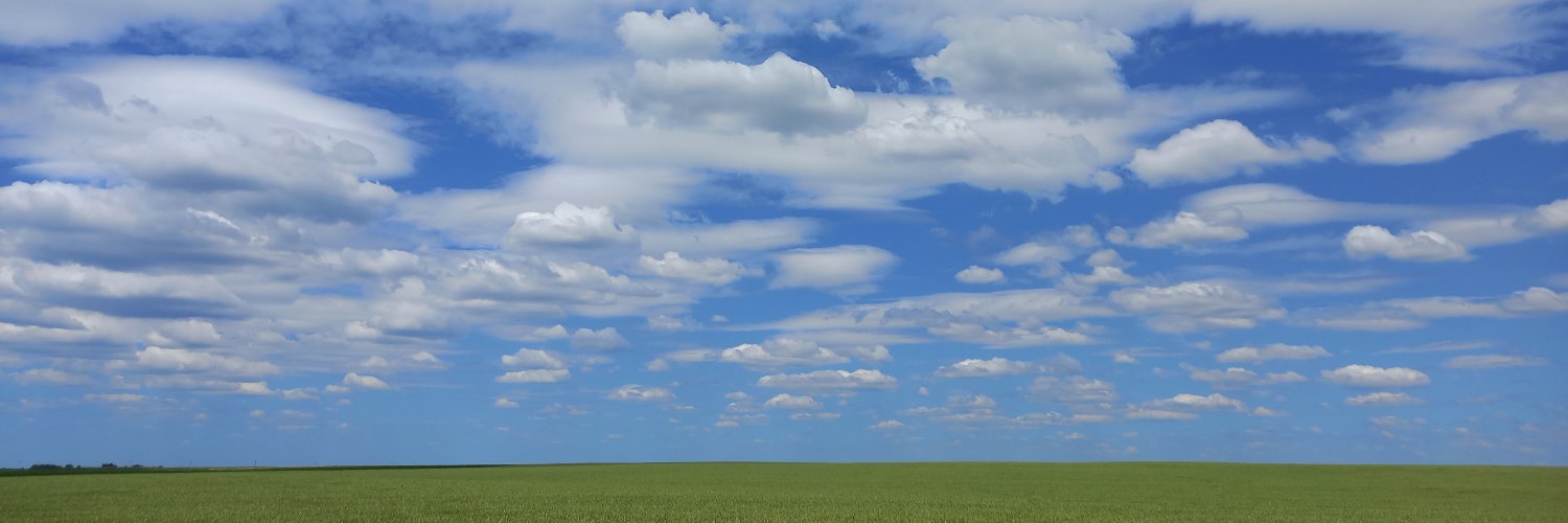 gastony's profile banner image