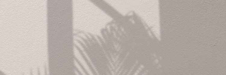 monicalandry06's profile banner image