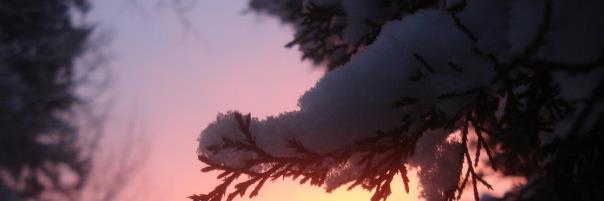 glenwolinsky's profile banner image