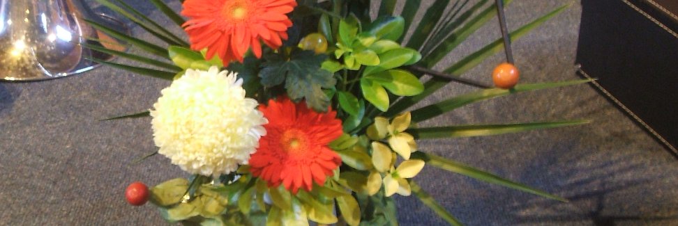 Alison Joseph banner