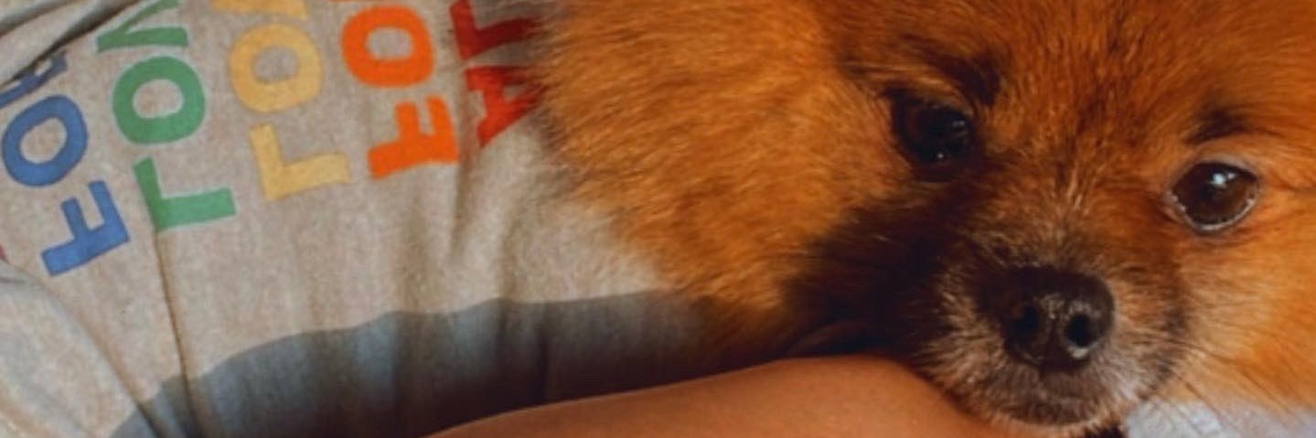 faveezz's profile banner image