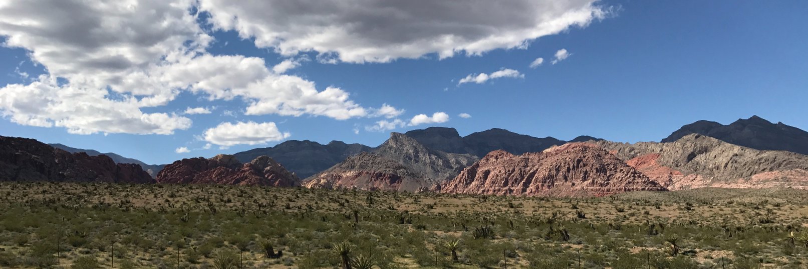 barb_land's profile banner image