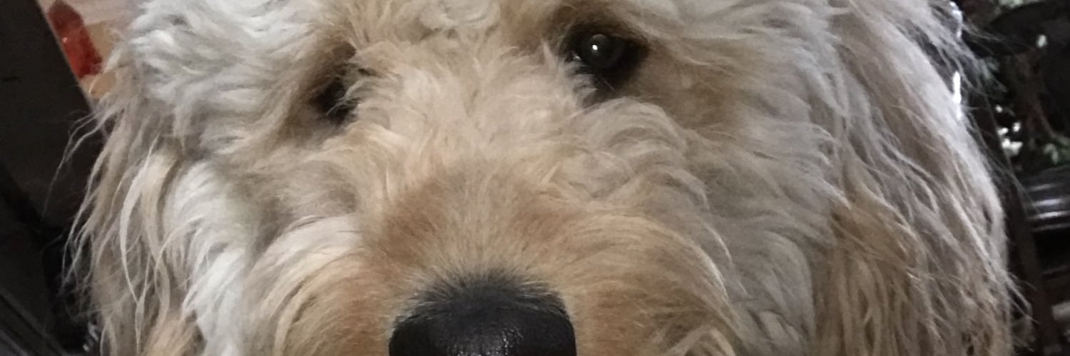 tase180's profile banner image