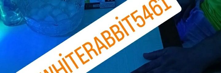 whiterabbit5461's profile banner image