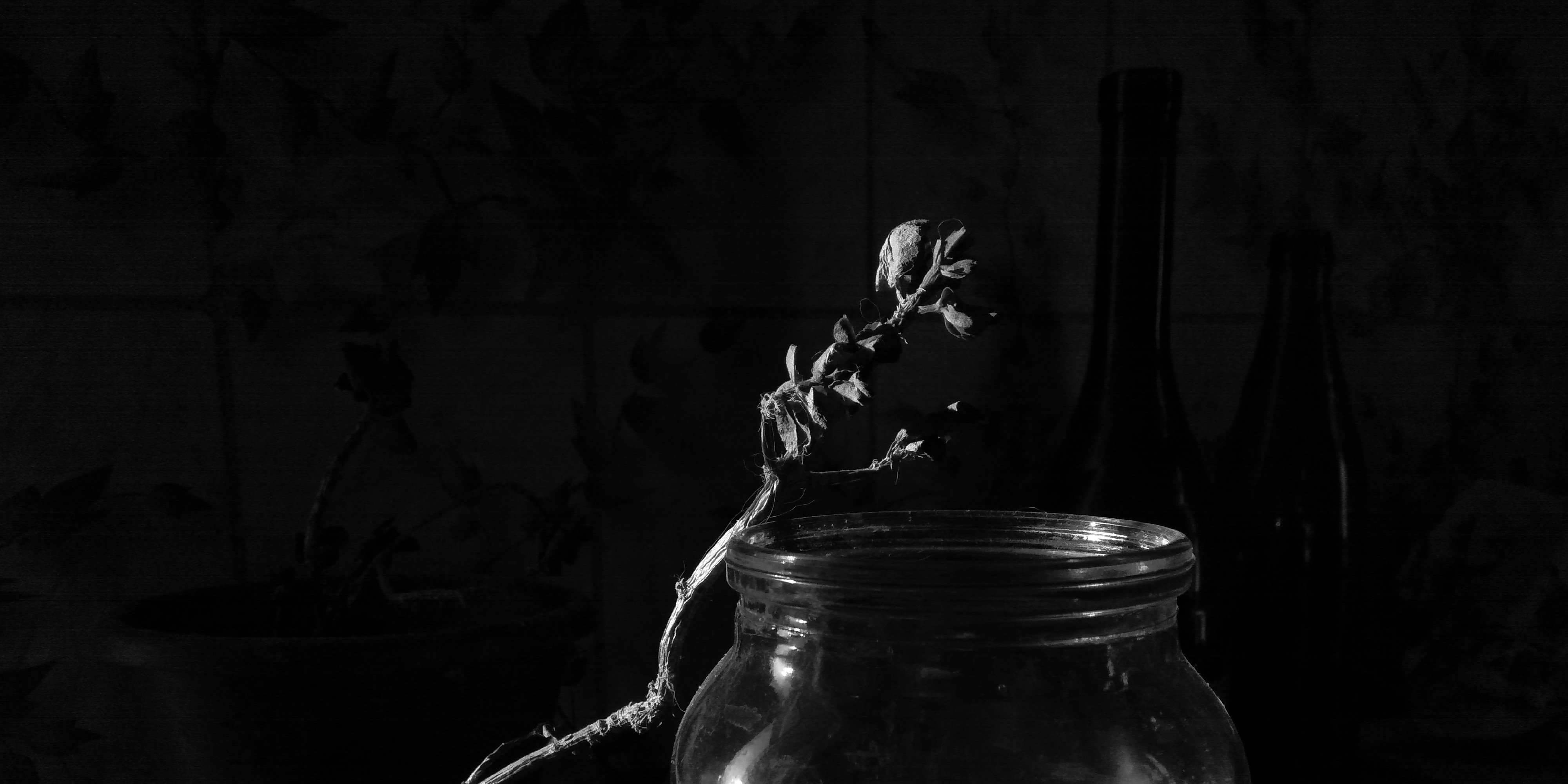 lessletterer's profile banner image