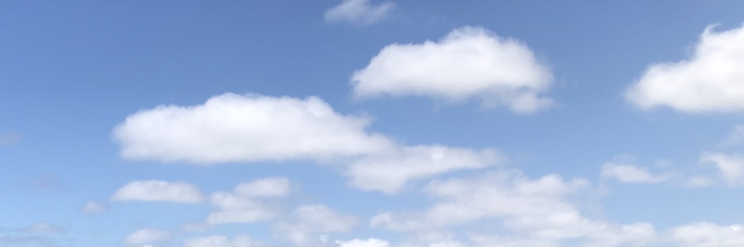 carovassa's profile banner image