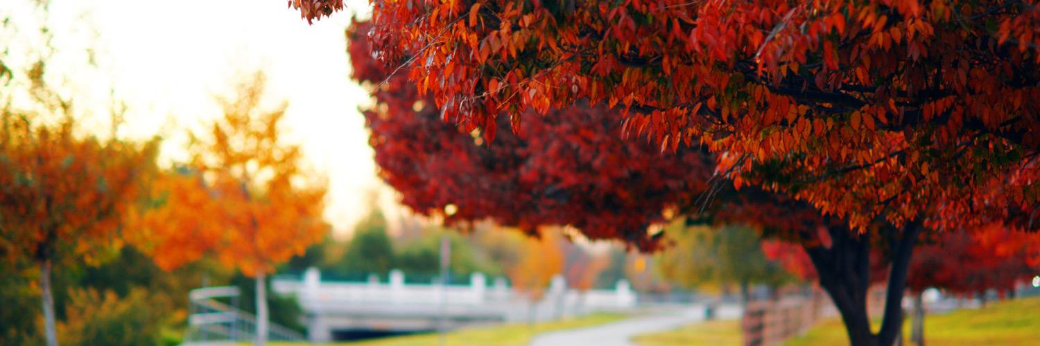 CreativeNewws's profile banner image