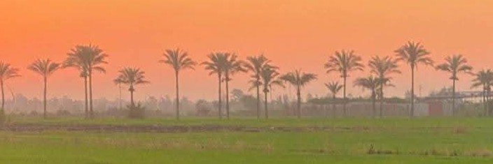LaluuuiLaura's profile banner image