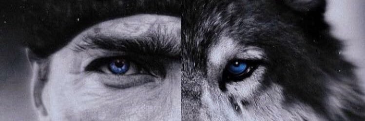 kaangunerr's profile banner image