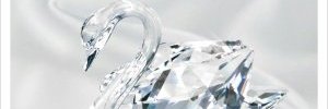 ranwww's profile banner image