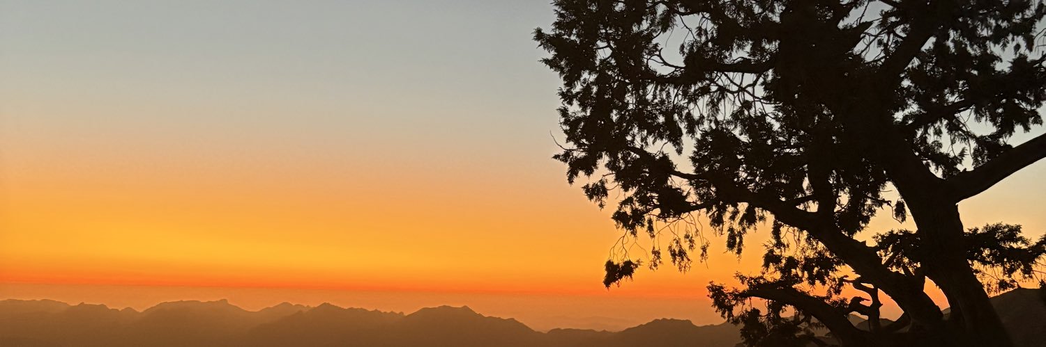 d2i0a's profile banner image