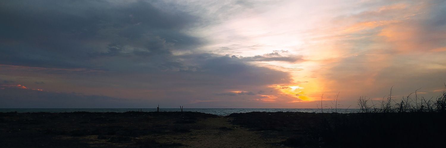 KriZaNkk's profile banner image