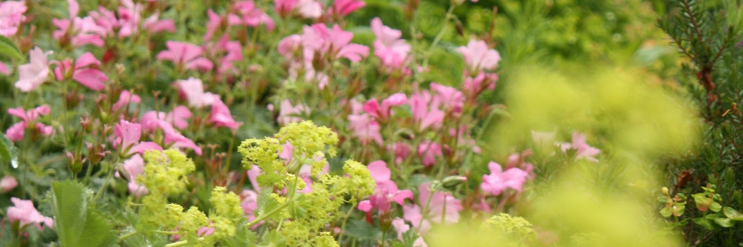 claireflegg's profile banner image