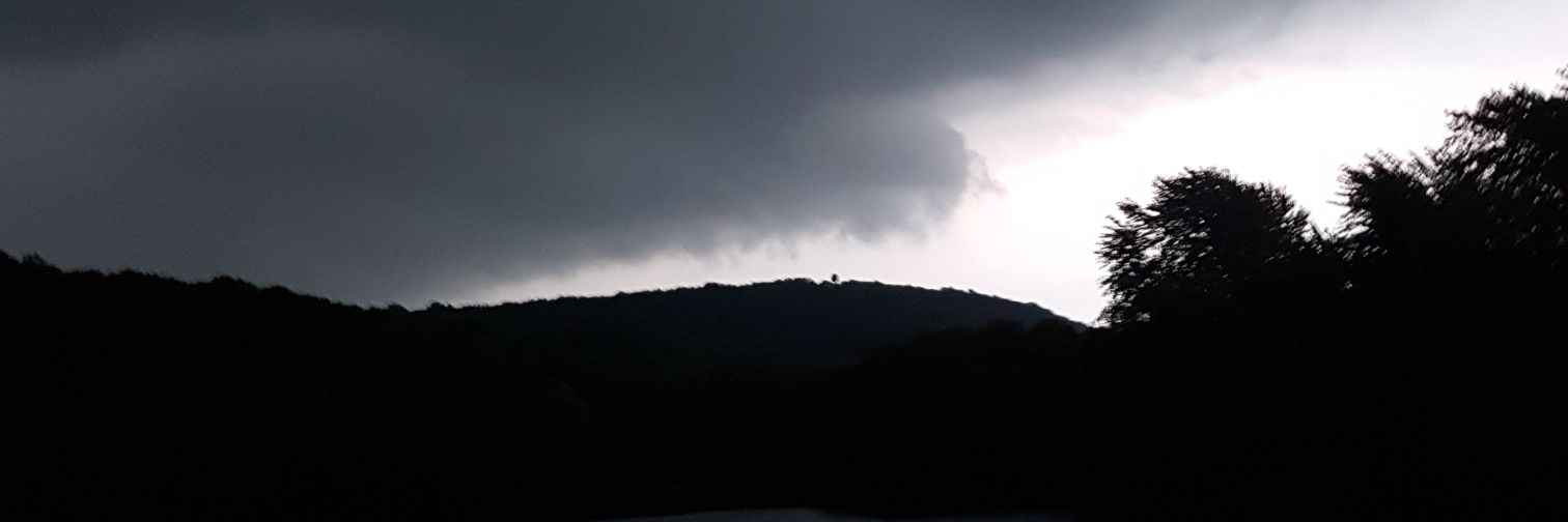 Shaaane4L's profile banner image
