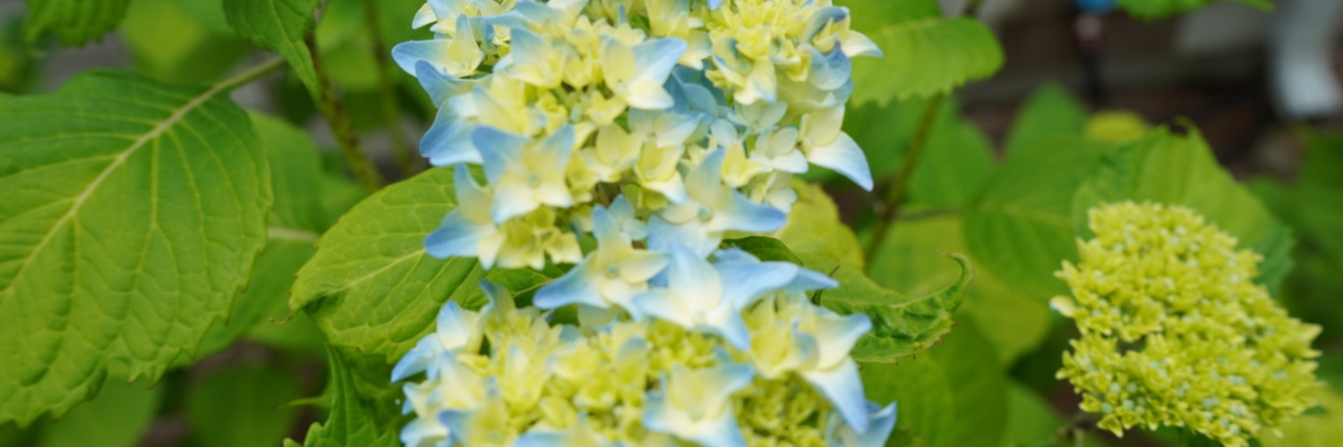 Heavensent2989's profile banner image