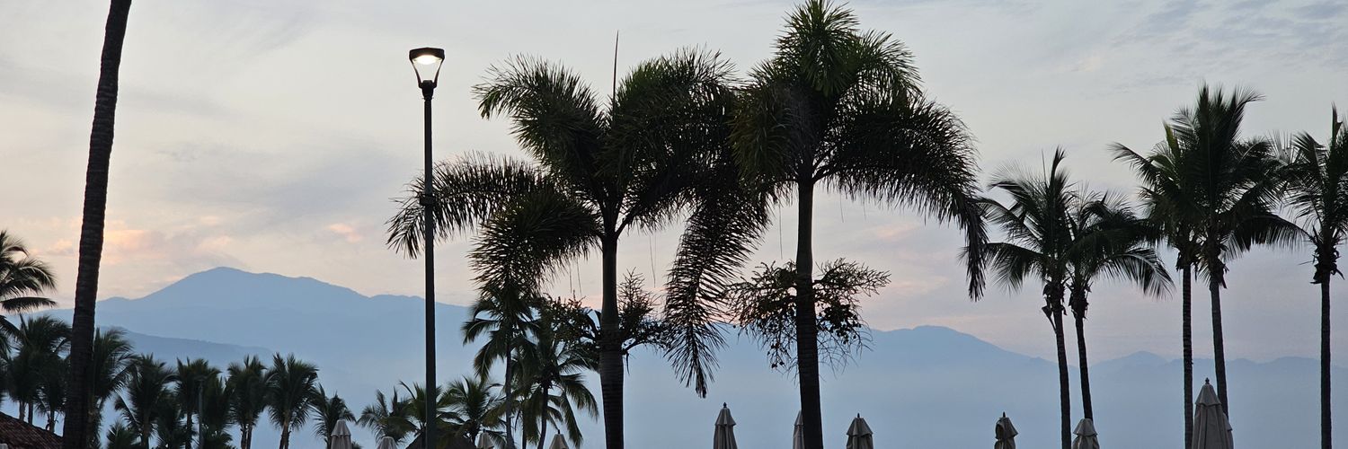 MiKaylaHamed's profile banner image