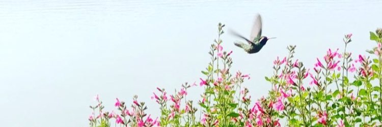 Almiiux_more's profile banner image