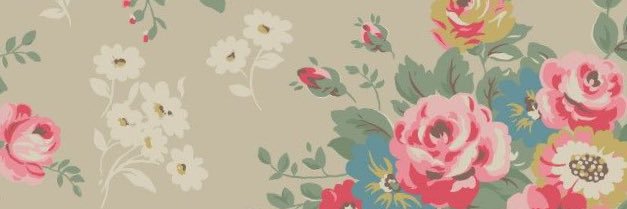 indiaevans8's profile banner image