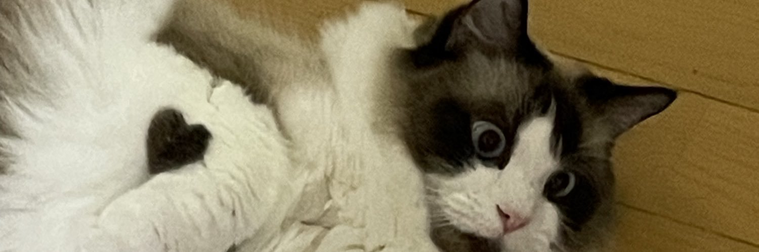 Zekffa1945's profile banner image