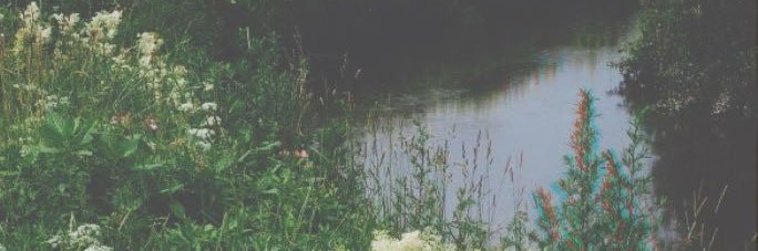 aestheticjhope's profile banner image