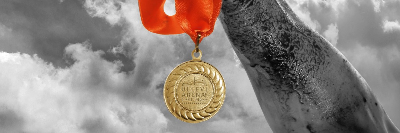 UlleviAC's profile banner image