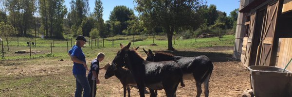 mjedick Profile Banner