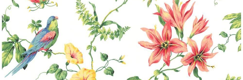 Colognerin's profile banner image