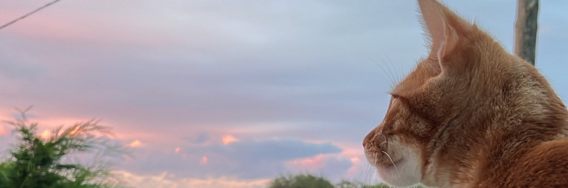 andrea_7_98's profile banner image