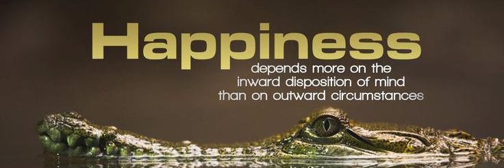 Crocodilequotes's profile banner image